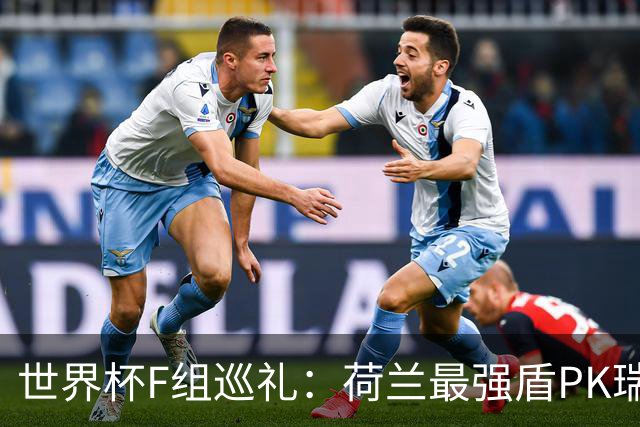 世界杯F组巡礼：荷兰最强盾PK瑞典犀利刀 日本短板明显